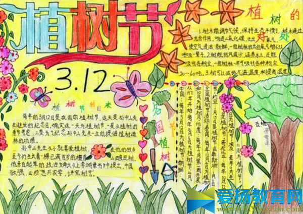 植树节手抄报内容图片