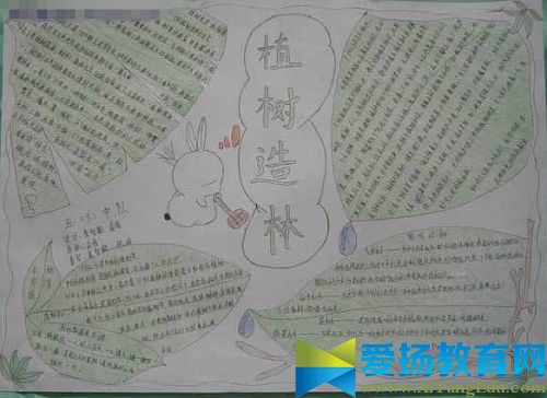 2017植树节手抄报超简单
